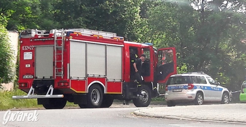 Dziewięć niewybuchów w stawie w parku Świerklaniec w Tarnowskich Górach. Zakończyły się działania policji wraz z wojskiem