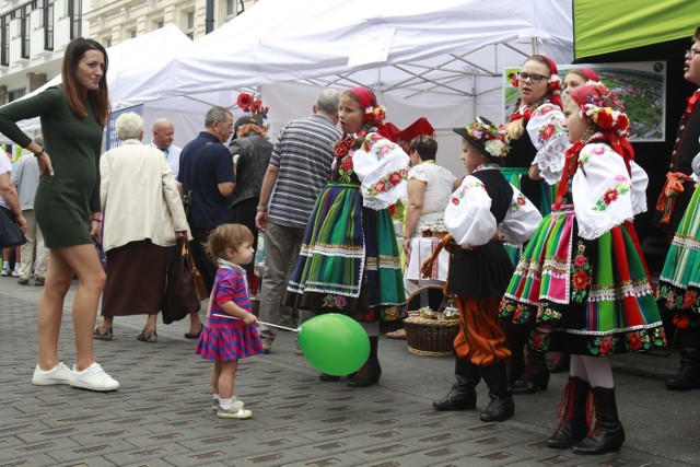 Mixer Regionalny 2018. Stoiska regionalne, imprezy i koncerty na Piotrkowskiej