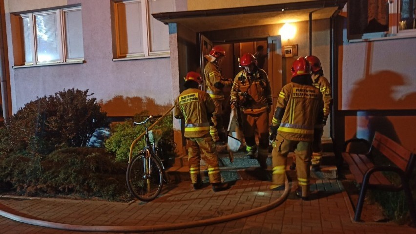 Randkę boleśnie przerwała interwencja służb w mieszkaniu w...