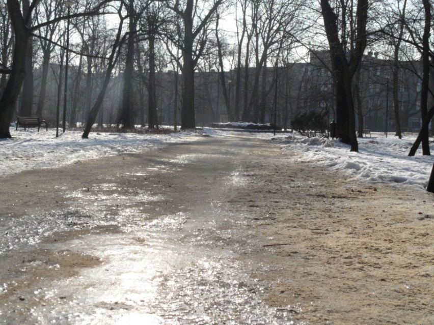 Bytom : Park - przedwiośnie 2015. Spacer po parku miejskim im. F. Kachla