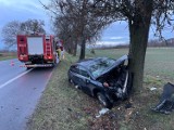 Wypadek pod Lesznem. Samochód rozbił się na drzewie. Kierowca zasnął za kierownicą