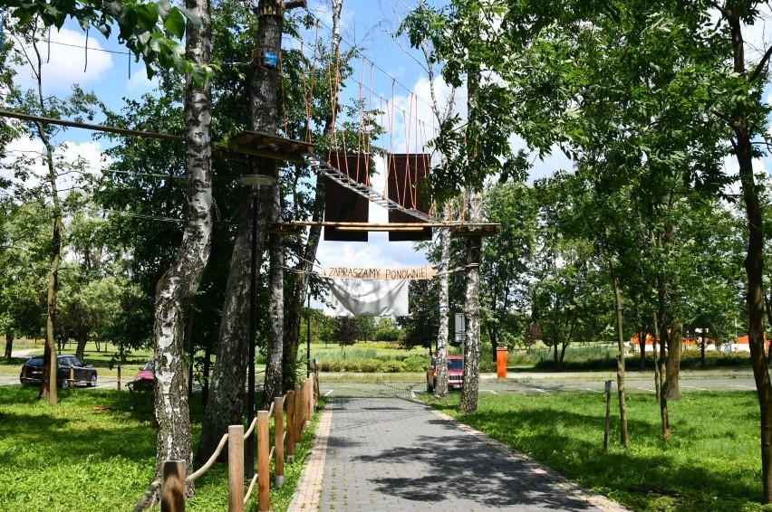 Park Linowy "Małpi Gaj" w Busku-Zdroju jest czynny i...