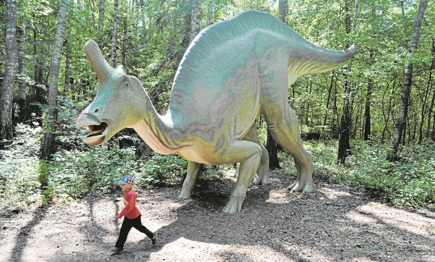 Łeba. Odwiedź park dinozaurów

Wizyta w parku to niezwykła,...