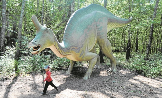 Łeba. Odwiedź park dinozaurów

Wizyta w parku to niezwykła, fantastyczna wycieczka  w przeszłość, aż do epoki kredy. Tylko w Łebie w Parku Dinozaurów na obszarze 20 ha można spotkać tyle trójwymiarowych gadów naturalnej wielkości. Inne atrakcje to m.in. zamek strachu, minizoo, wioska indiańska czy pole minigolfowe. Jest też kino 7D i kolejka Czerwonego Kapturka.
W dniach 1-3  maja park jest czynny w godzinach 9-18, w kolejnych dniach o godzinę krócej. Bilety:  normalny - 40 zł, ulgowy: 30 zł, dzieci do 4 lat wstęp gratis. Organizowany jest bezpłatny dojazd i powrót z Łeby Dinobusem. 

Edyta Litwiniuk