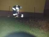 Strażacy z Żor gasili pożar piwnicy przy ul. Wiosennej - na miejscu działały trzy jednostki OSP