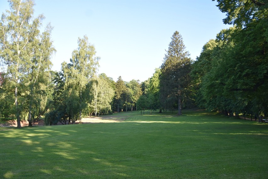 Park przy zamku Książ