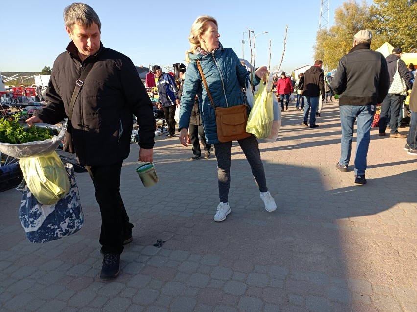 Targowisko w Suwałkach. Tłum ludzi przy stoiskach z warzywami i sadzonkami [Zdjęcia]