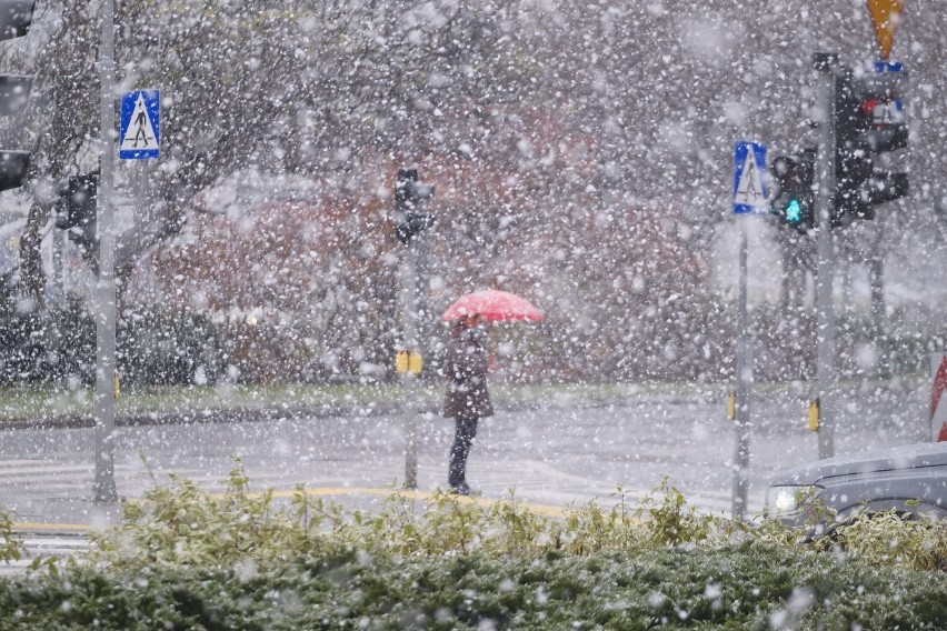 Pierwszy śnieg w Poznaniu.


Zobacz zdjęcia --->