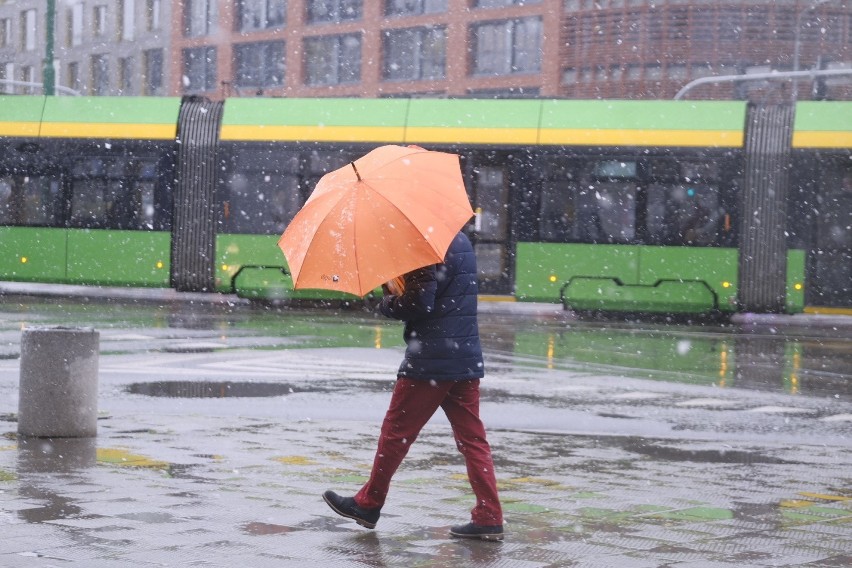 Pierwszy śnieg w Poznaniu.


Zobacz zdjęcia --->