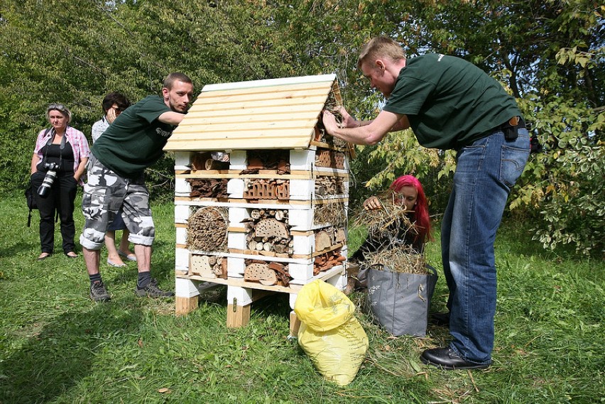 Adoptuj Pszczołę - w Warszawie powstał pierwszy hotel dla pszczół