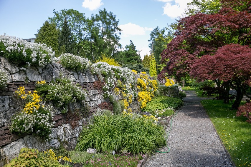 Ogród Botaniczny w Krakowie