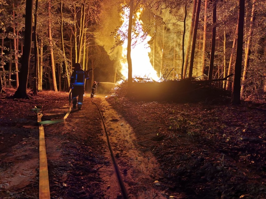 Nocny pożar na osiedlu. Strażacy z Goleniowa znów w akcji