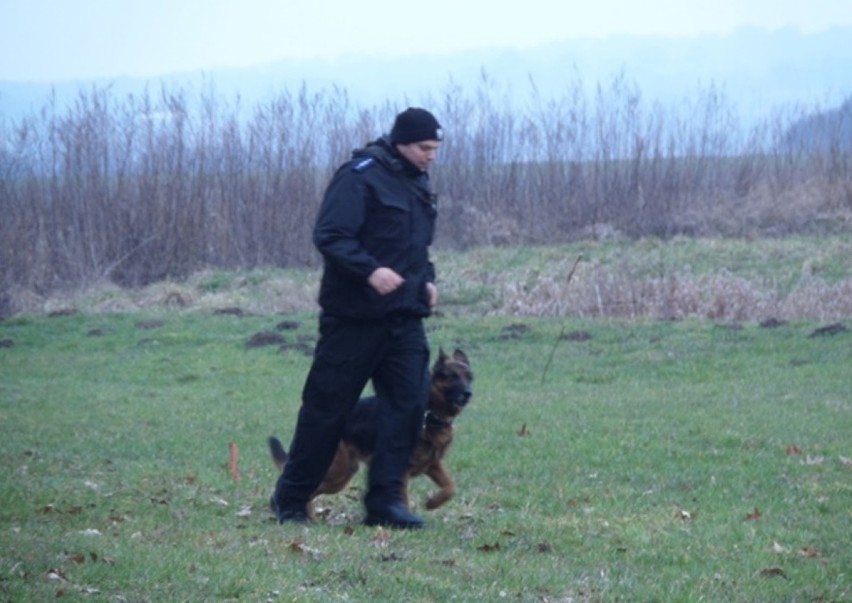 Szkolenie dla przewodników psów policyjnych