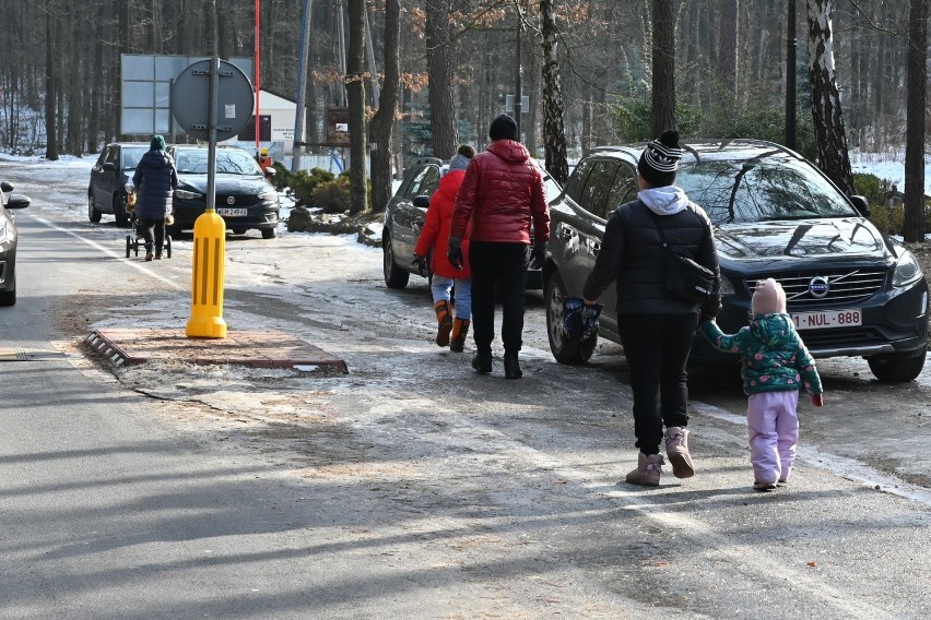 Pogoda w sobotę zachęcała do wyjścia z domu i rekreacji na...