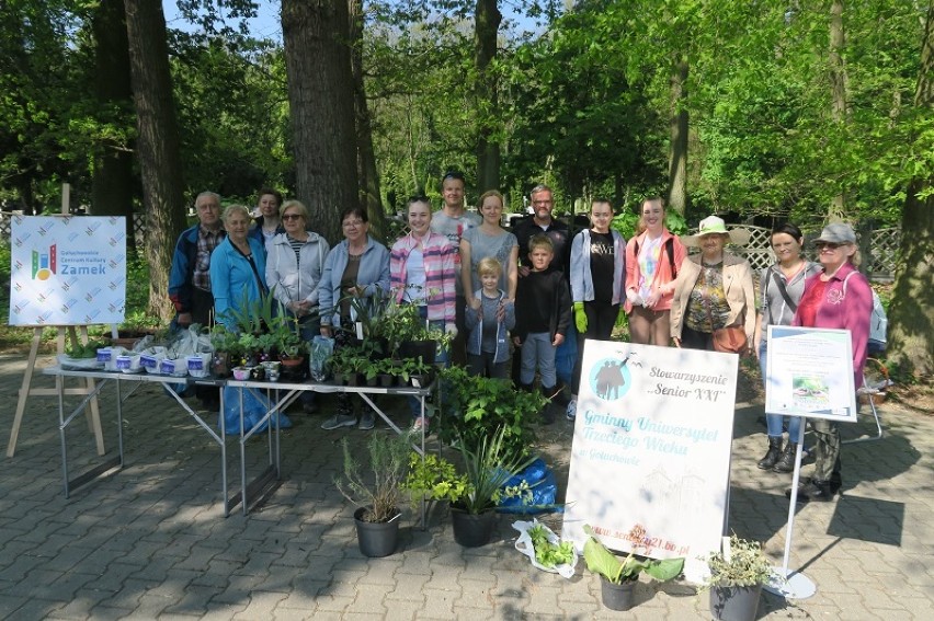 GCK "Zamek" połączyło siły ze Stowarzyszeniem Seniorzy XXI Gminny Uniwersytet Trzeciego Wieku i w stolicy gminy wspólnie posprzątali lasek koło cmentarza, a na parkingu przygotowali stoisko wymiany sadzonek ziół i kwiatów