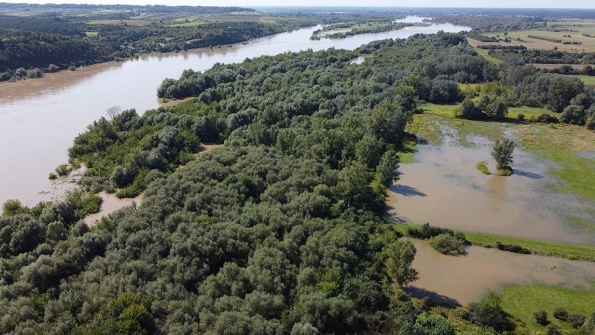 Mieszkańcy Janowca z niepokojem patrzą na rosnący poziom wody w Wiśle