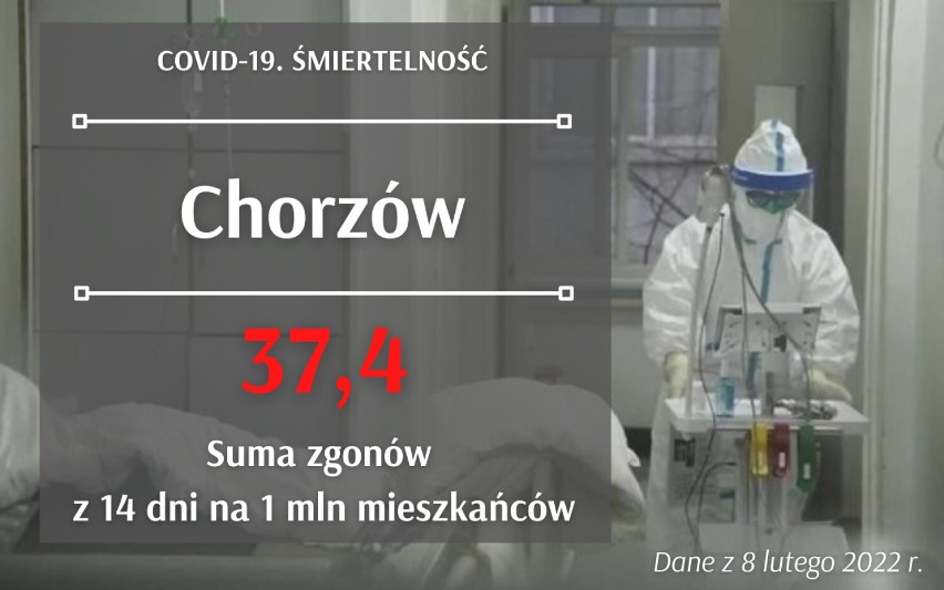 To w Śląskiem jest najwięcej zgonów! Gdzie zmarło przez Covid-19 najwięcej osób? Zobacz te dane!