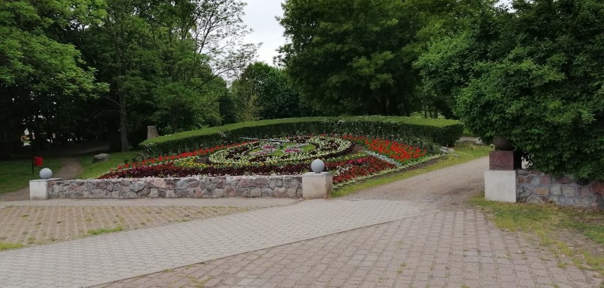 Ciechocinek czeka na kuracjuszy. Na razie nawet na wielu rabatach kwiatowych jest pusto  [zdjęcie]