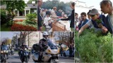 Co robić w Tarnowie i okolicy w pierwszy jesienny weekend 24-25 września? Motocykle, babie lato, teatr, pikniki, targi ślubne i inne imprezy