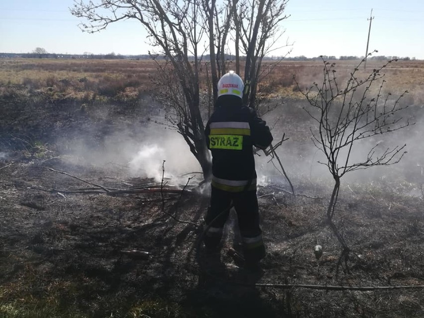 Znów płonęły trawy. Pogoda sprzyja takim pożarom