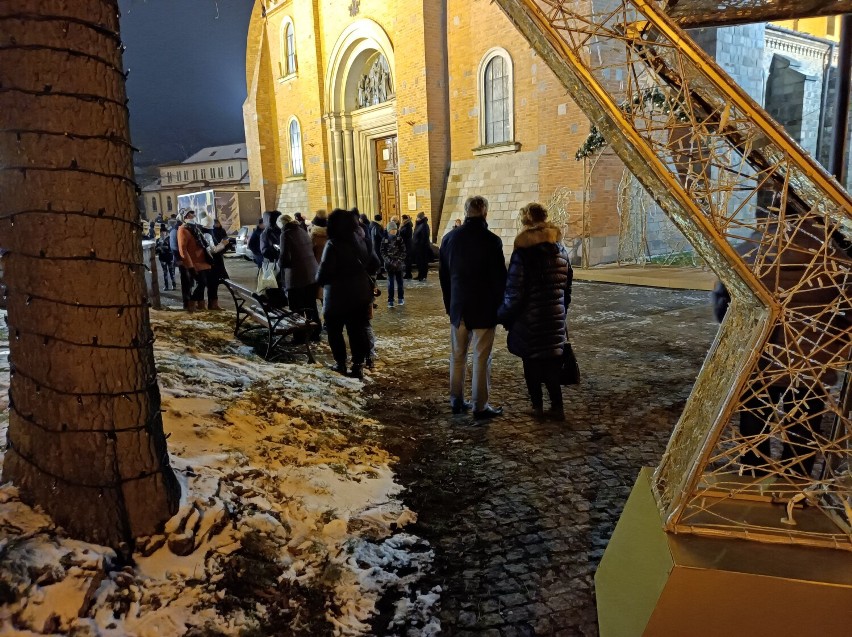 Płockie Ogrody Światła ponownie rozbłysnęły! Tłumy płocczan powitały Ogrody Światła w Płocku. Zobacz zdjęcia z otwarcia!