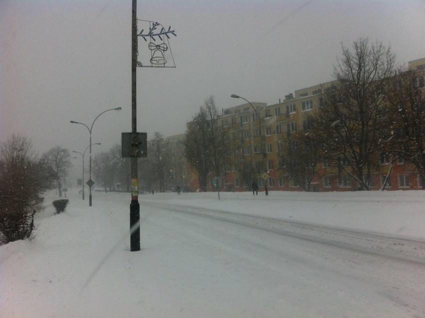 Zamość i region: Zima wróciła, ale najgorsze już za nami. ZDJĘCIA, RELACJA