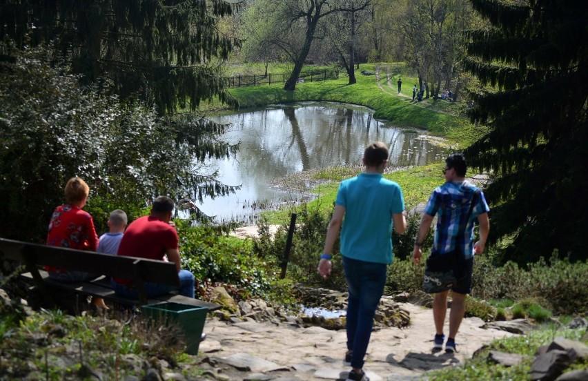 W Ogrodzie Botanicznym UMCS - Spacer z przewodnikiem
Ogród...