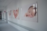 Głogowski szpital ma wreszcie nowoczesny trakt porodowy. ZOBACZ ZDJĘCIA