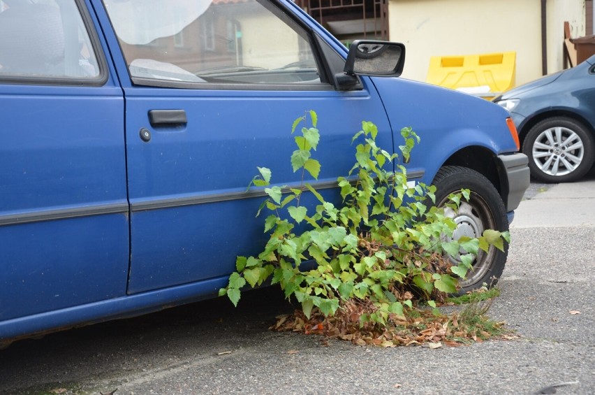 Samochód na parkingu między ul. Sikorskiego na Matejki. Stoi...