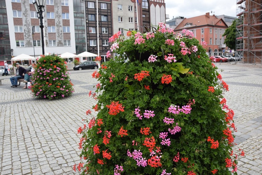 Bierzemy pod lupę kompozycje kwiatowe w centrum Gorzowa