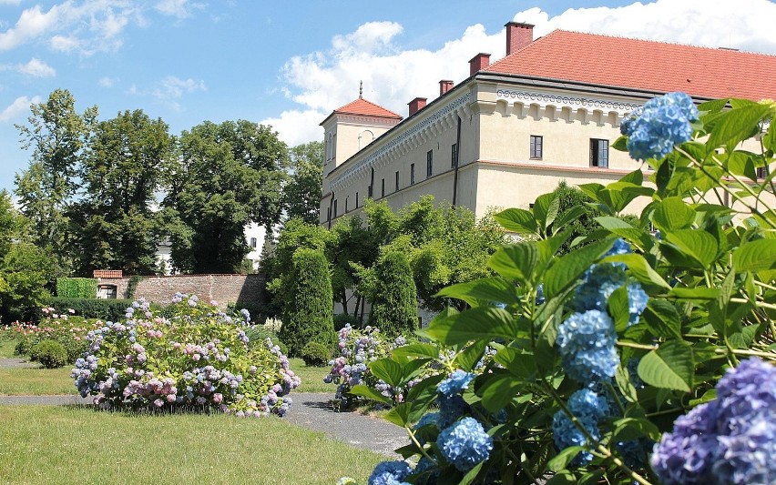 Spacer po Krakowie. Ogród Muzeum Archeologicznego [ZDJĘCIA]