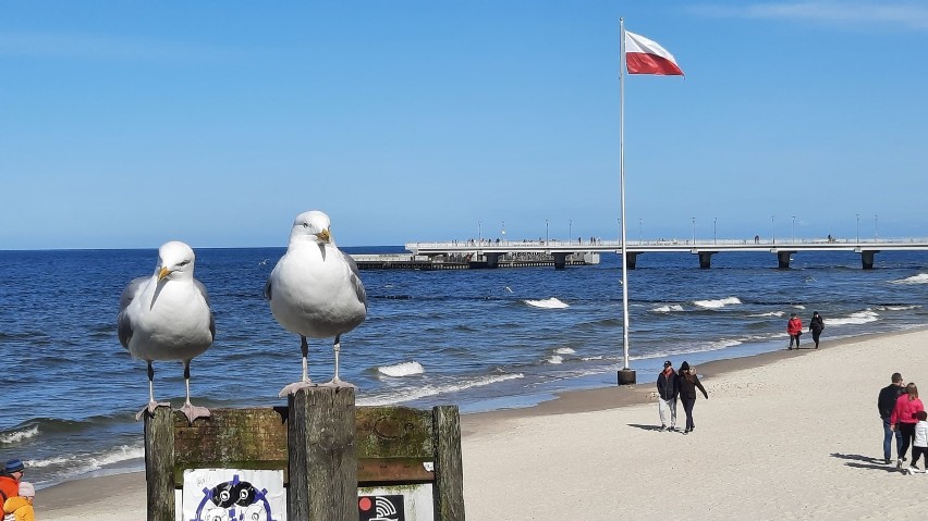 Sobota w Kołobrzegu