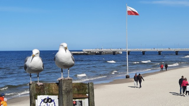 Sobota w Kołobrzegu