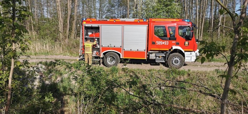 Pożar lasu w Słowiku (gm. Zgierz). Strażacy apelują o rozwagę: panuje susza i ogromne zagrożenie pożarowe.