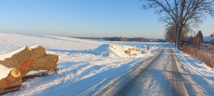 Przy drodze Konojady-Tomki zaplanowano wycinkę 34 drzew....