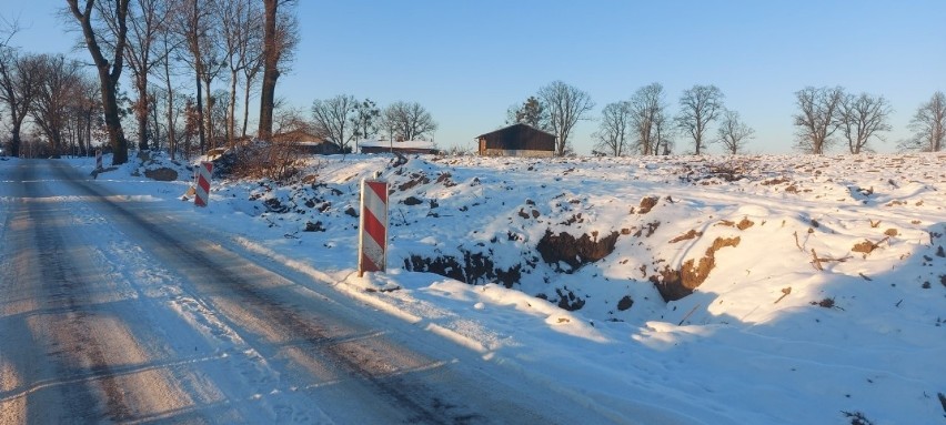 Przy drodze Konojady-Tomki zaplanowano wycinkę 34 drzew....