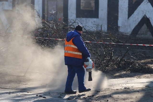 Pracownicy ŁZUK przycinali ostatnio korony drzew w alei PCK.