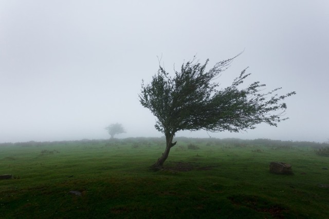 Instytut Meteorologii i Gospodarki Wodnej ostrzega przed silnym wiatrem, który może wiać na terenie woj. lubuskiego.