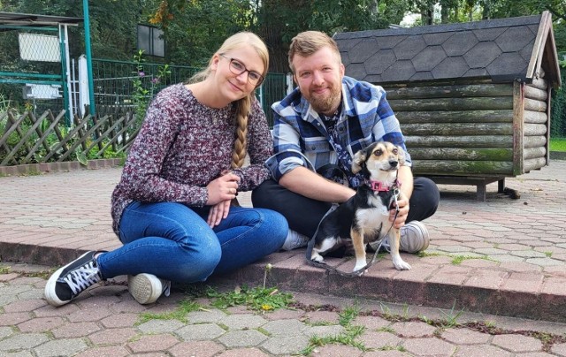 W Schronisku dla Zwierząt w Toruniu nie brakuje bezdomnych psów. Trafiają do placówki praktycznie codziennie. Na szczęście znajdują się również osoby, które są gotowe adoptować psy i zapewnić im nowy dom. Te osoby w ostatnim czasie adoptowały psy z toruńskiego schroniska. 

>>>>>>>>>ZOBACZCIE ZDJĘCIA
