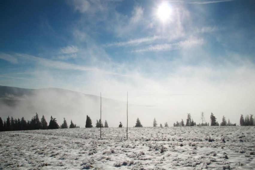 Śnieg w Beskidach. W górach wciąż biało! [ZDJĘCIA]