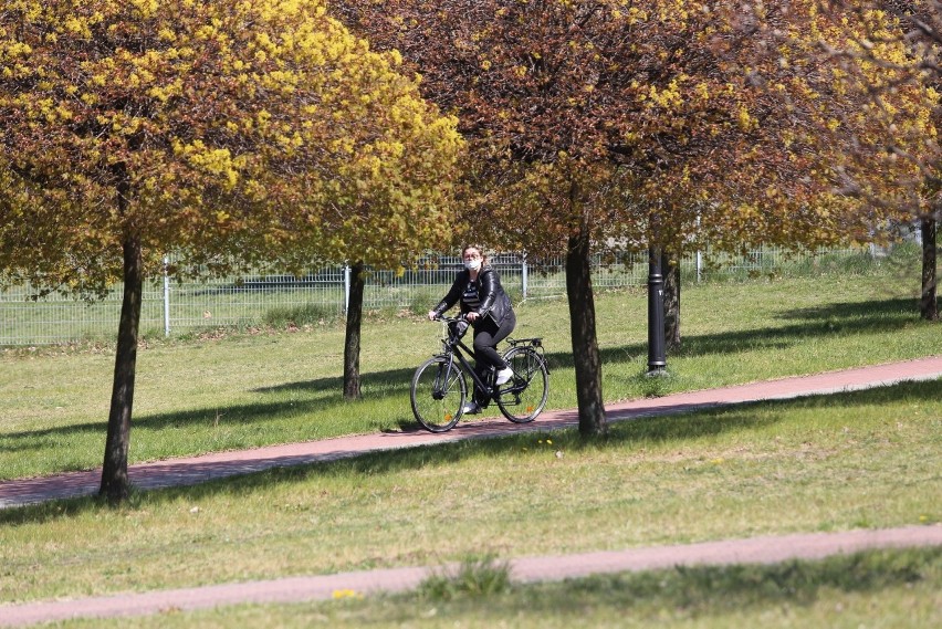 W poniedziałek na Górce Środulskiej mogliśmy spotkać sporo...