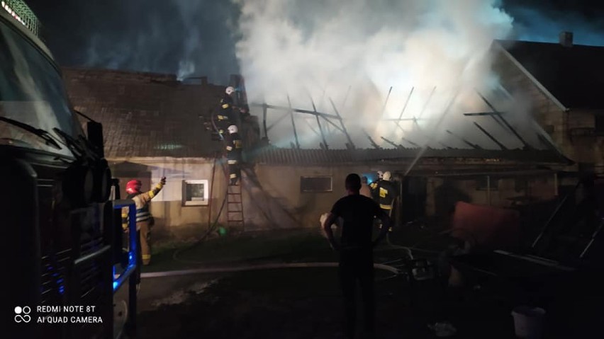 W wyniku pożaru chlewni w Luszkówku żywcem spłonęło 90 kur