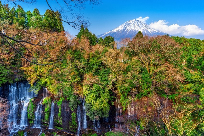 Najpopularniejszy park narodowy w Japonii znalazł się na 7....