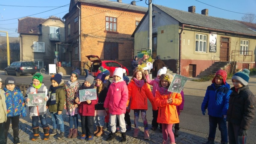 Pomnik chomika stanął w Jaworznie - Byczynie