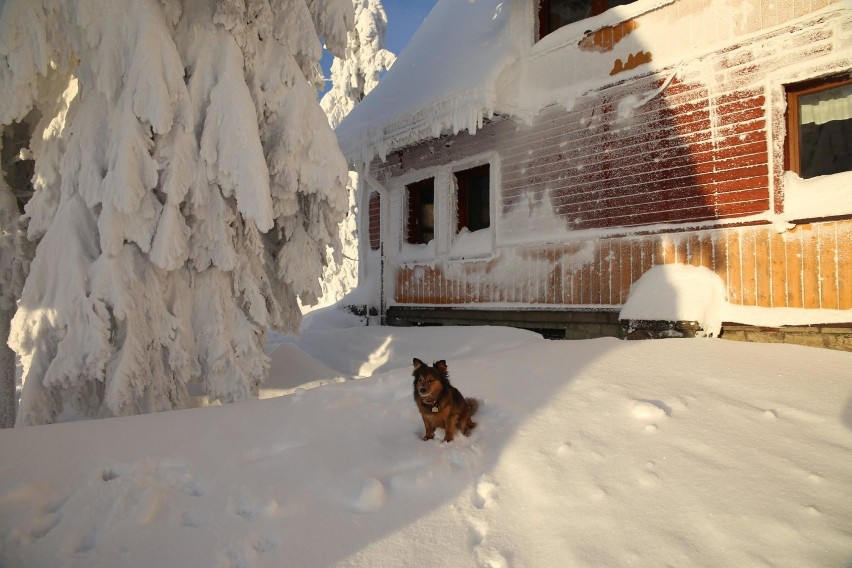W Beskidach piękna pogoda, ale ciągle jest niebezpiecznie, a od jutra wracają opady śniegu (ZDJĘCIA)