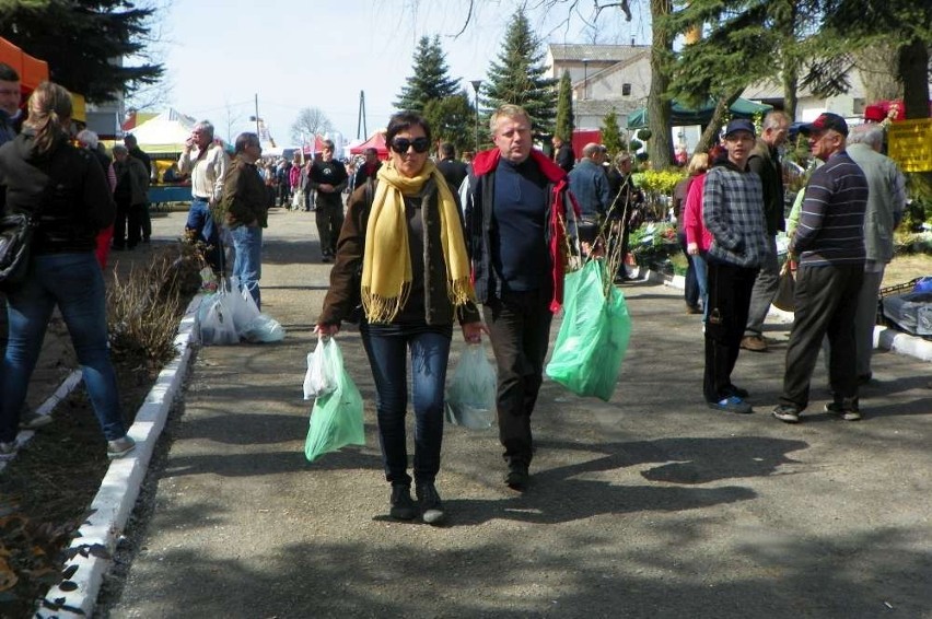 Agro Targi w Starej Łubiance już po raz 22.