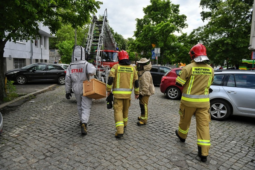 W ostatnich dniach poznańska straż pożarna musiała kilka...