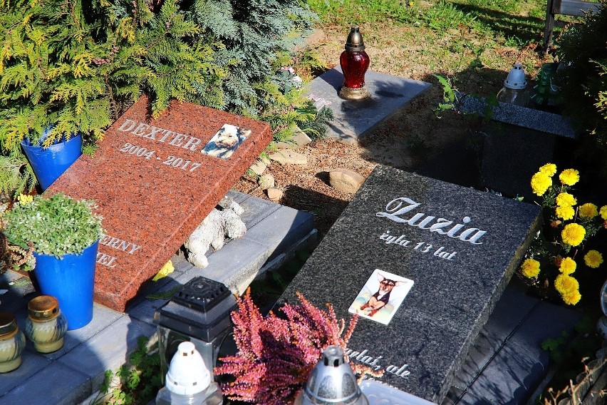 Cmentarz dla zwierząt przy ul. Malowniczej w Łodzi [ZDJĘCIA]