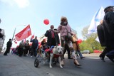 Największy pochód 1 maja w Zagłębiu odbył się w Sosnowcu [ZDJĘCIA]