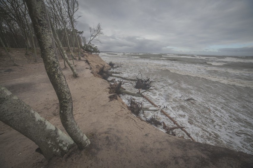 Orkan Eunice w Orzechowie. Zniszczenia unikatowego klifu morskiego [ZDJĘCIA]